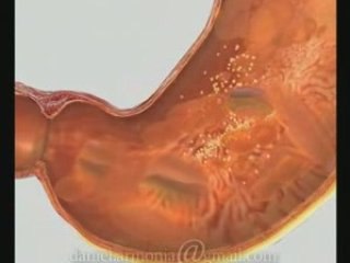 daniel armonia Demoreel-03 ogast