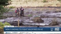 New funding to fight wildfires in Arizona