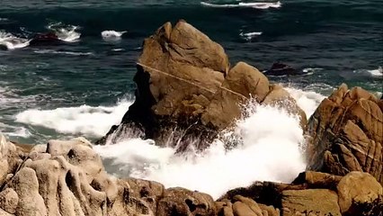 The Moaning of Life - Se2 - Ep03 HD Watch