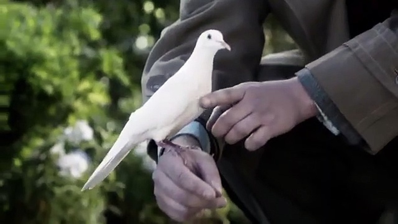 Manhattan - Se1 - Ep06 - Acceptable Limits HD Watch