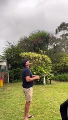 Feeding the Kites in the Backyard