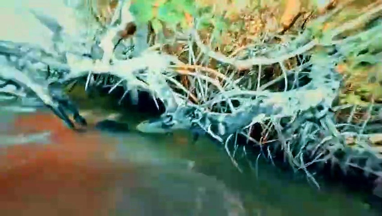 I Was Prey - Se2 - Ep07 - Nowhere to Hide HD Watch