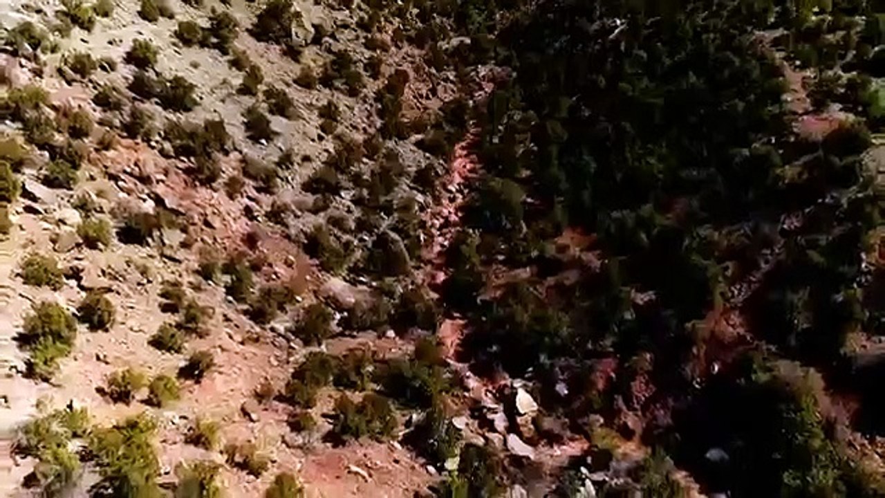 I Was Prey - Se2 - Ep11 - Alone In The Wild HD Watch