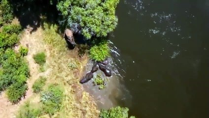 I Was Prey - Se3 - Ep05 Safari Horror HD Watch