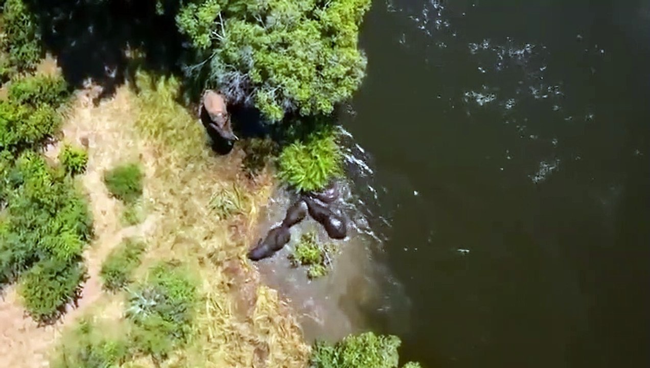 I Was Prey - Se3 - Ep05 Safari Horror HD Watch