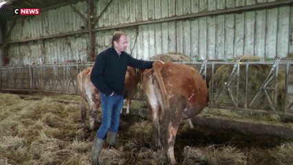 Les agriculteurs girondins inquiets pour l'avenir de la profession