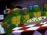 Teenage Mutant Ninja Turtles (1987) S07 E019 Night of the Rogues