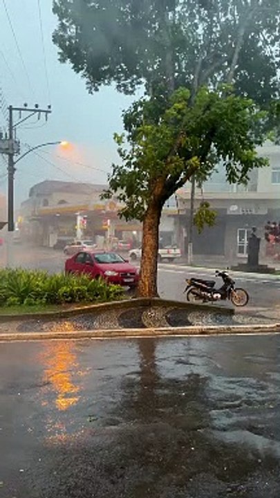 Storm Uproots Tree