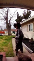 Pouncing on Pearl Before She Can Escape