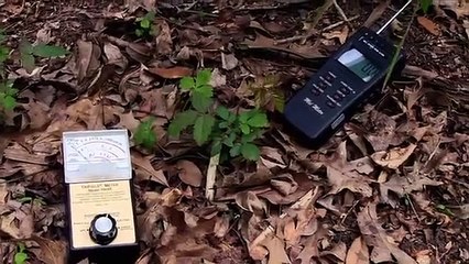 Ghosts of Morgan City - Se1 - Ep04 - Pirate Island HD Watch