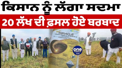 ਕਿਸਾਨ ਦੀ 26 ਏਕੜ ਕਣਕ ਹੋਈ ਬਰਬਾਦ | Moga Farmer News | OneIndia Punjabi