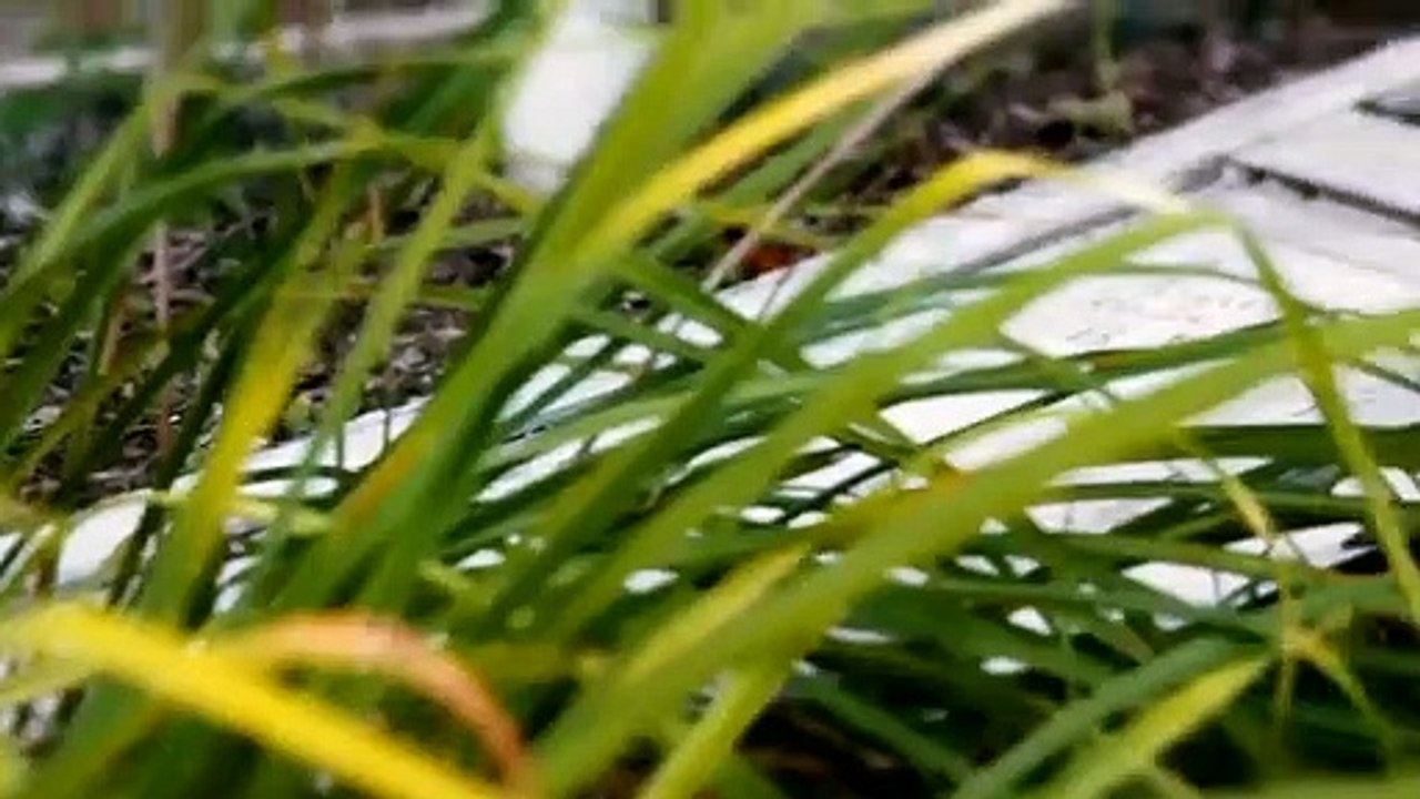 My Horror Story - Se1 - Ep08 - Encountering Evil HD Watch