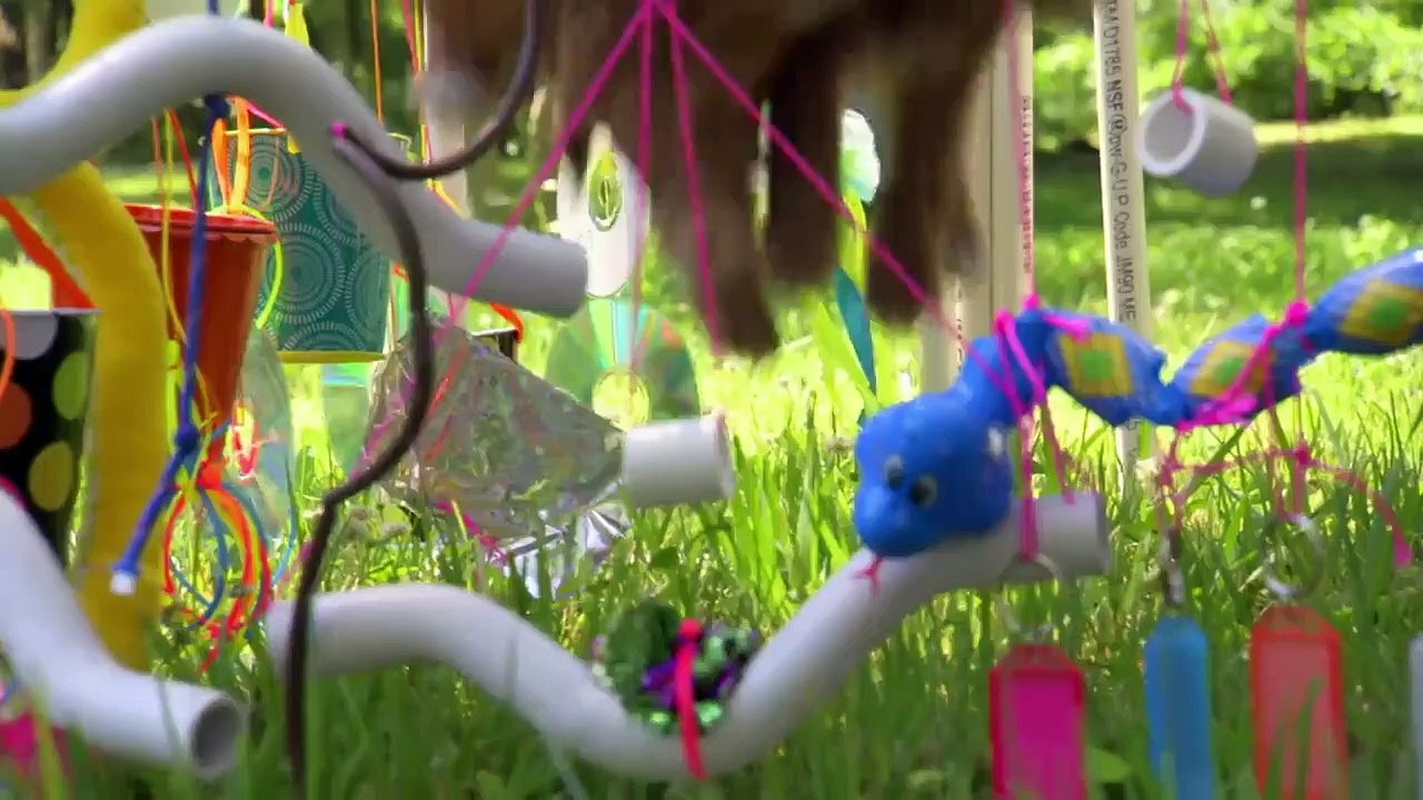 Too Cute! - Ep62 HD Watch