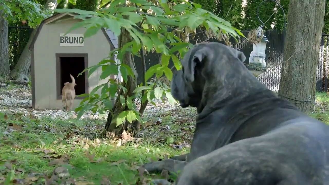 Too Cute! - Ep63 HD Watch