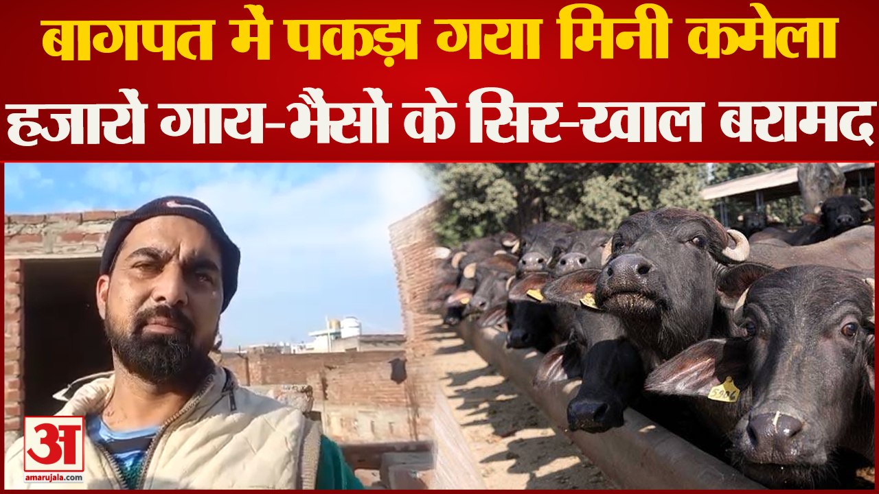 UP Crime : मिनी कमेला का भंडाफोड़, विरोध में धा...