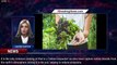 107047-mainDr Joanna McMillan: These are the superfoods you should be eating in 2023