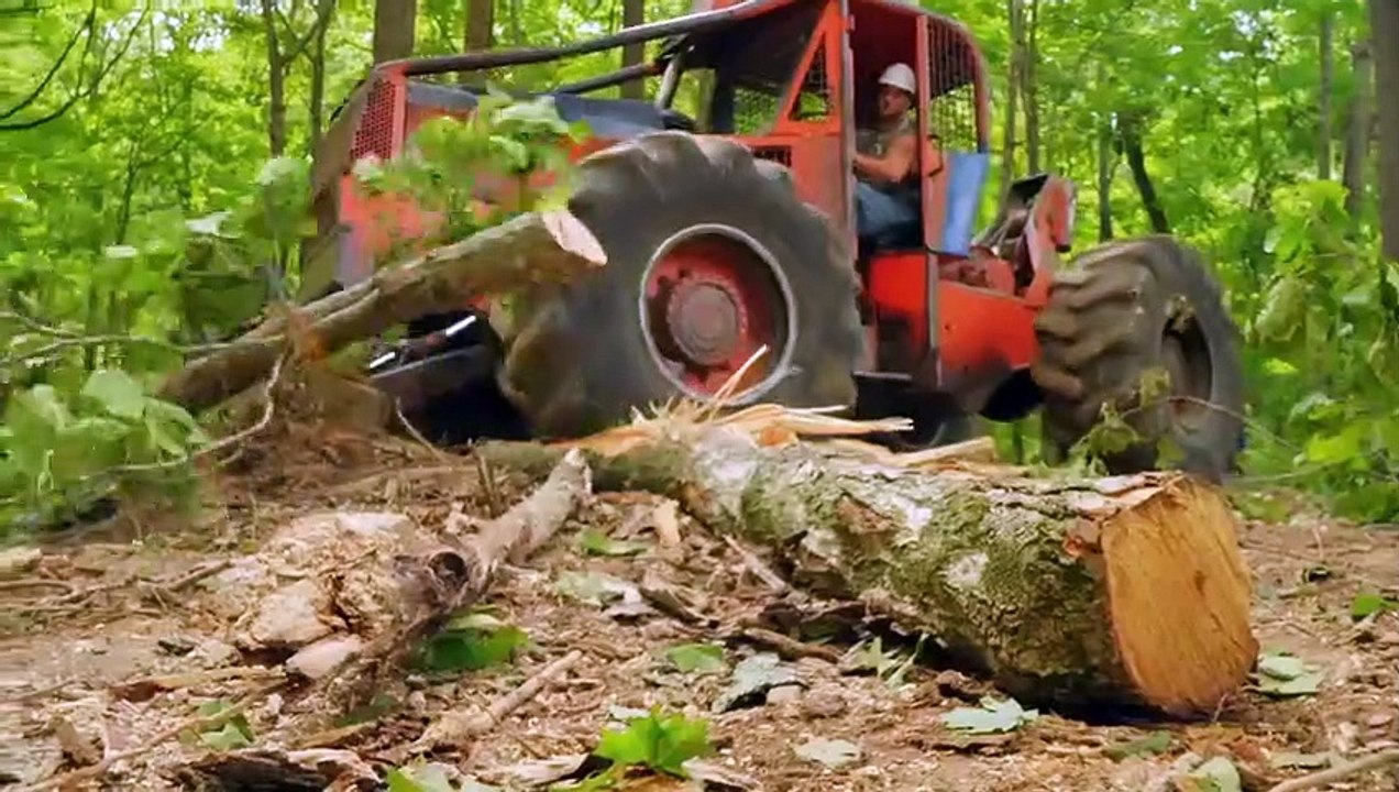 Blood Money (2018) - Se1 - Ep01 - Where the Redferns Grow HD Watch