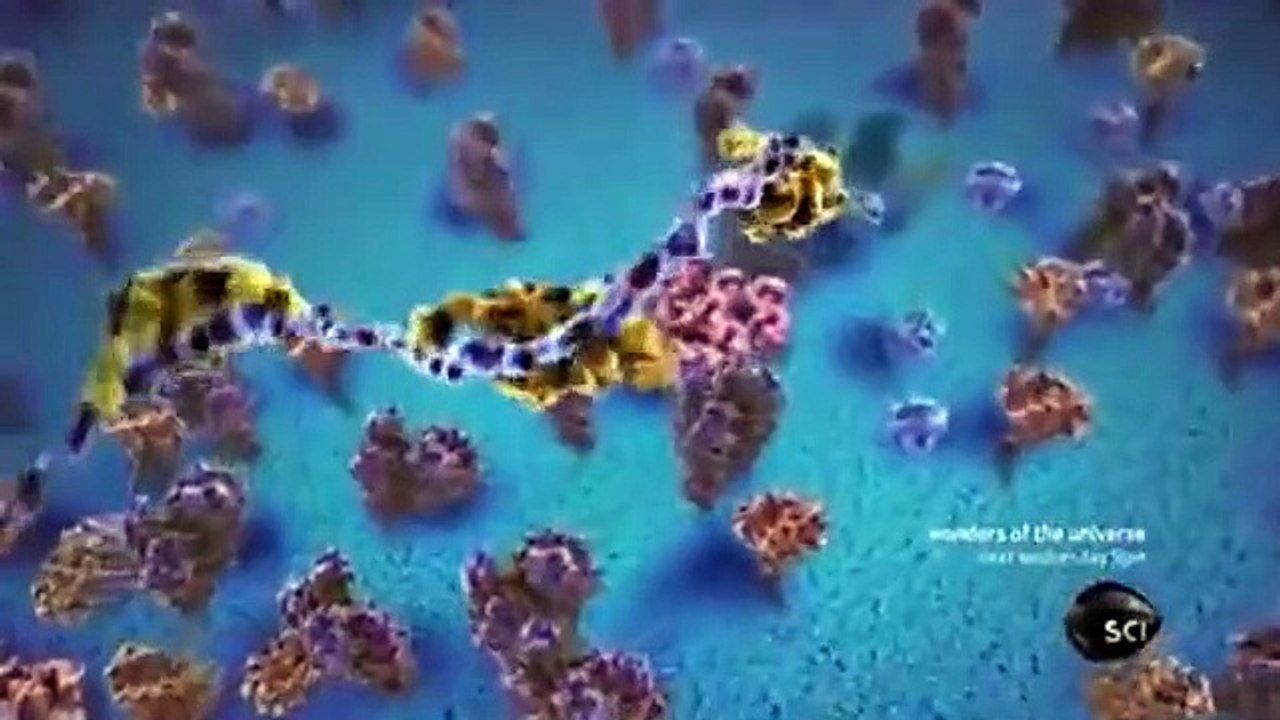 Through the Wormhole - Se2 - Ep08 HD Watch