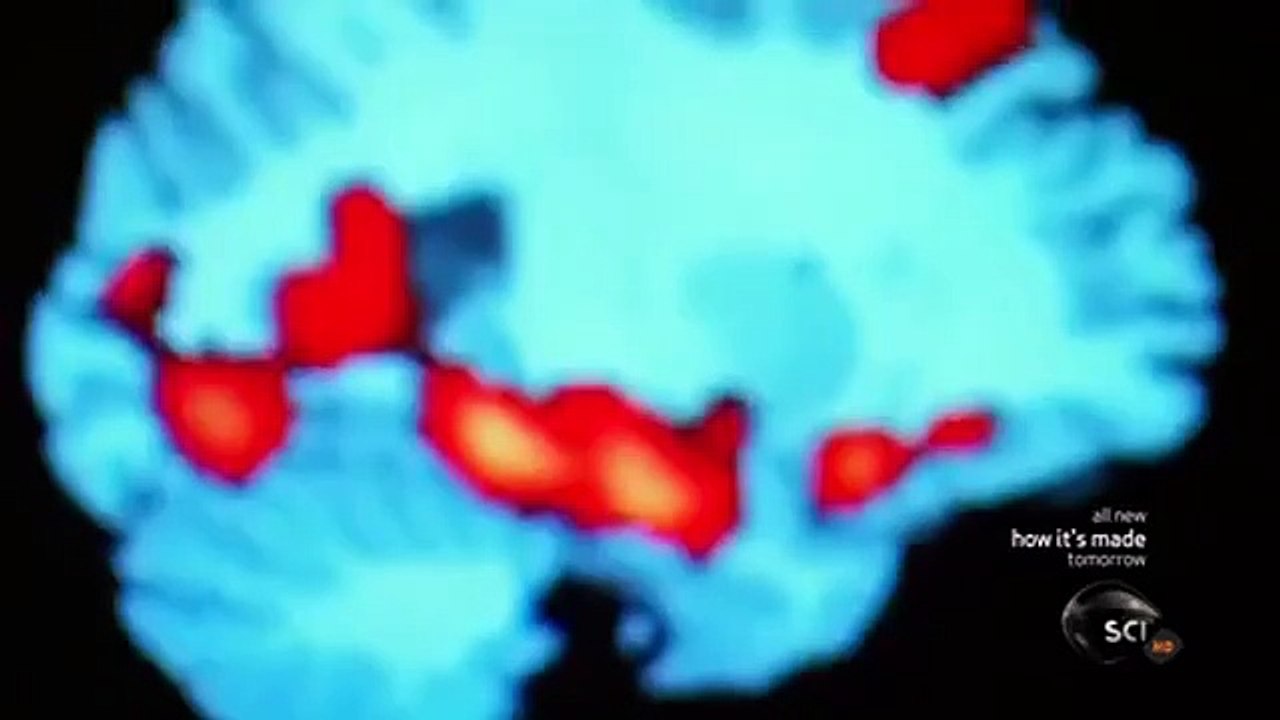 Through the Wormhole - Se3 - Ep04 HD Watch