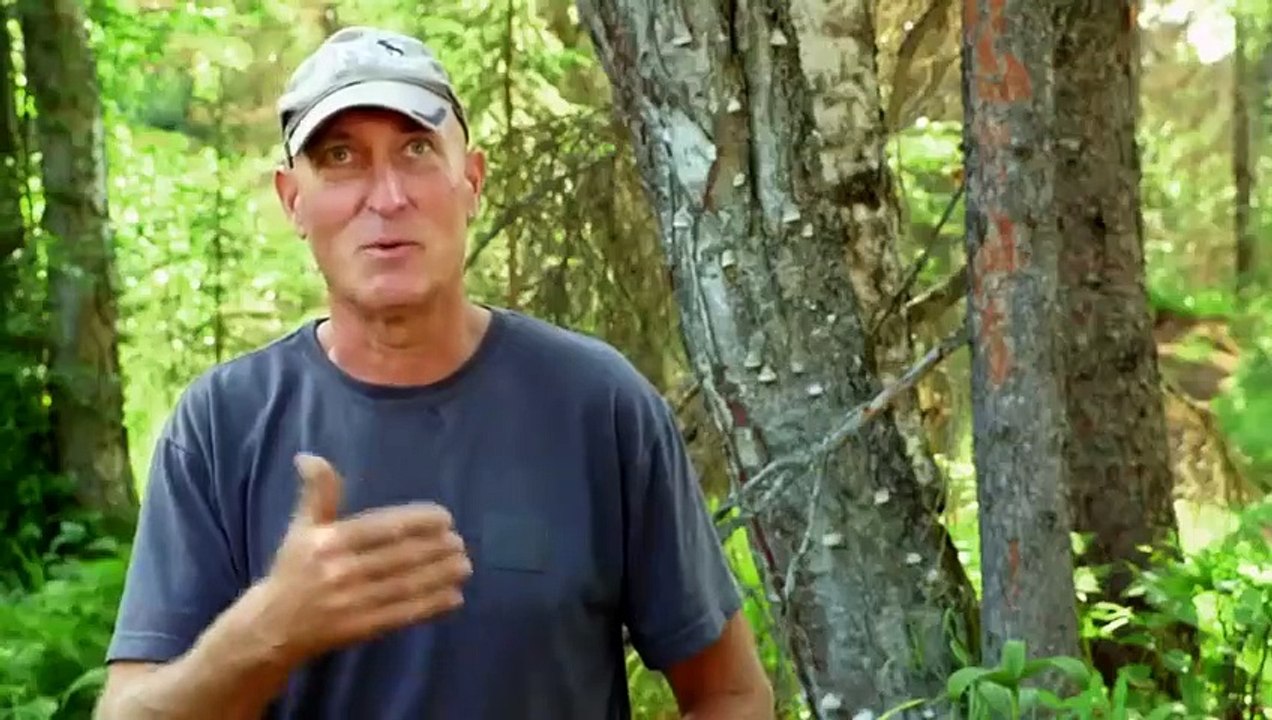 Building Alaska - Se11 - Ep03 - A Life of Near Misses HD Watch