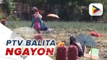 Pangasinan provincial police, iniimbestigahan na ang umano'y pangha-harass sa ilang onion farmers