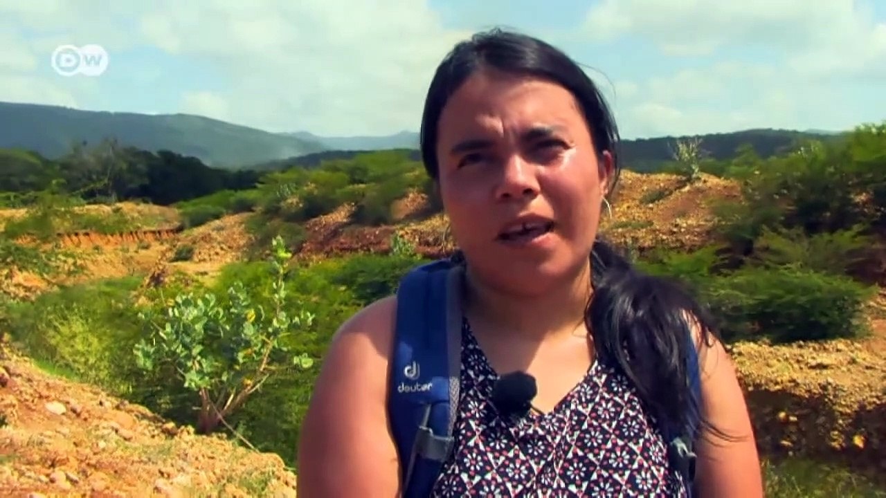 Colombia: La maldición del carbón | DW Documental