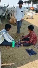 First Look at Amazing Animals 🐾