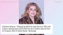 Lena Situations en robe transparente, culotte et poitrine exposées face à Catherine Deneuve, très féline