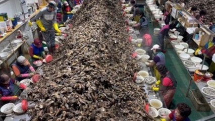 Corea del Sur, un paraíso culinario para los amantes de las ostras