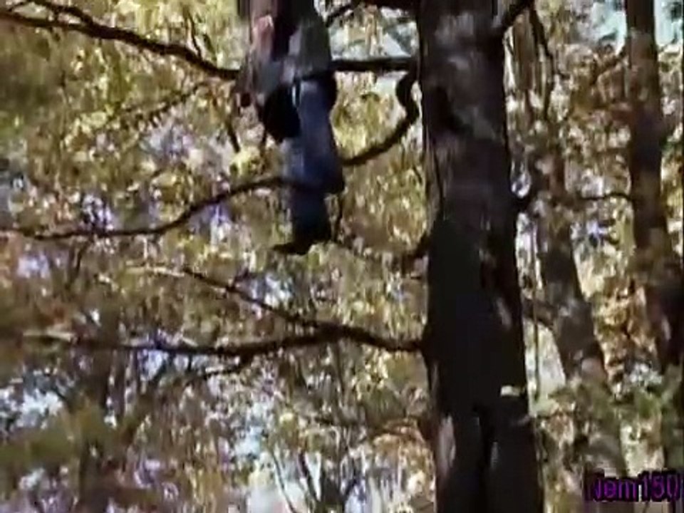 Rex - A Cop's Best Friend - Se10 - Ep01 HD Watch