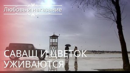 Саваш и цветок уживаются | Любовь и наказание - серия 5