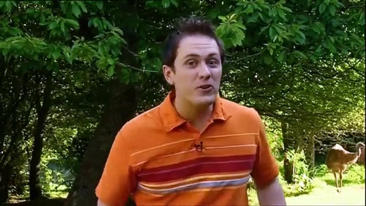 Boogie Beebies - Kangaroo