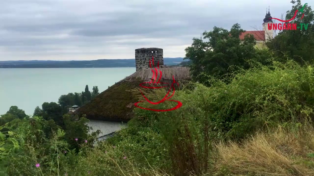 Die Virtuelle Kaffeetasse Ungarns am 20.01.2023