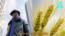 En place (Netflix) : l'interview SuperSplit de Jean-Pascal Zadi, Éric Judor et Fadily Camara