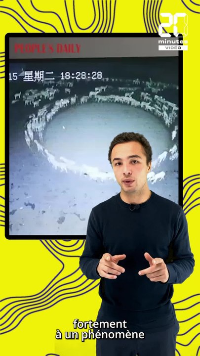 5G, Apocalypse, pourquoi des animaux se mettent-ils à tourner en rond ?