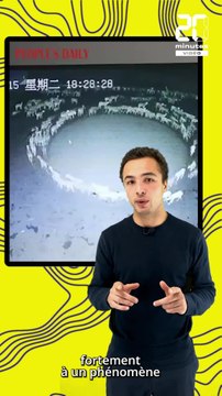 5G, Apocalypse, pourquoi des animaux se mettent-ils à tourner en rond ?
