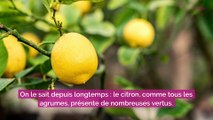 Cette erreur que l’on commet tous avec le citron, c’est le meilleur moyen de le gâcher et de ne pas profiter de ses bienfaits