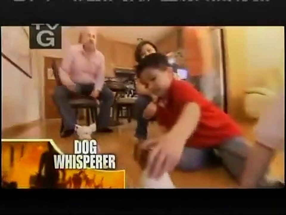 Dog Whisperer with Cesar Millan - Se4 - Ep26 HD Watch
