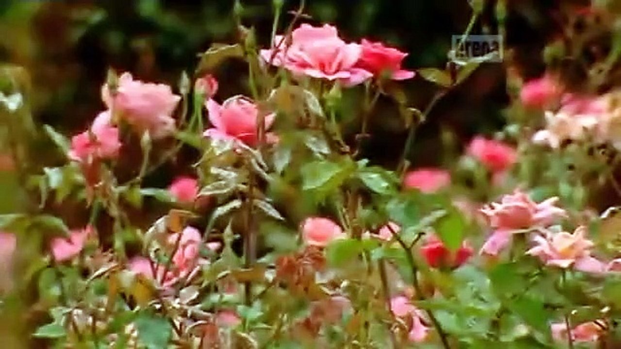 Project Runway Australia - Se3 - Ep01 HD Watch