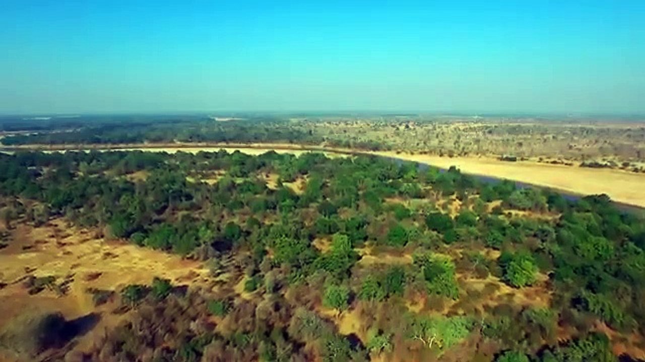 Africa's Hunters - Se2 - Ep06 - Heir to the Clan HD Watch