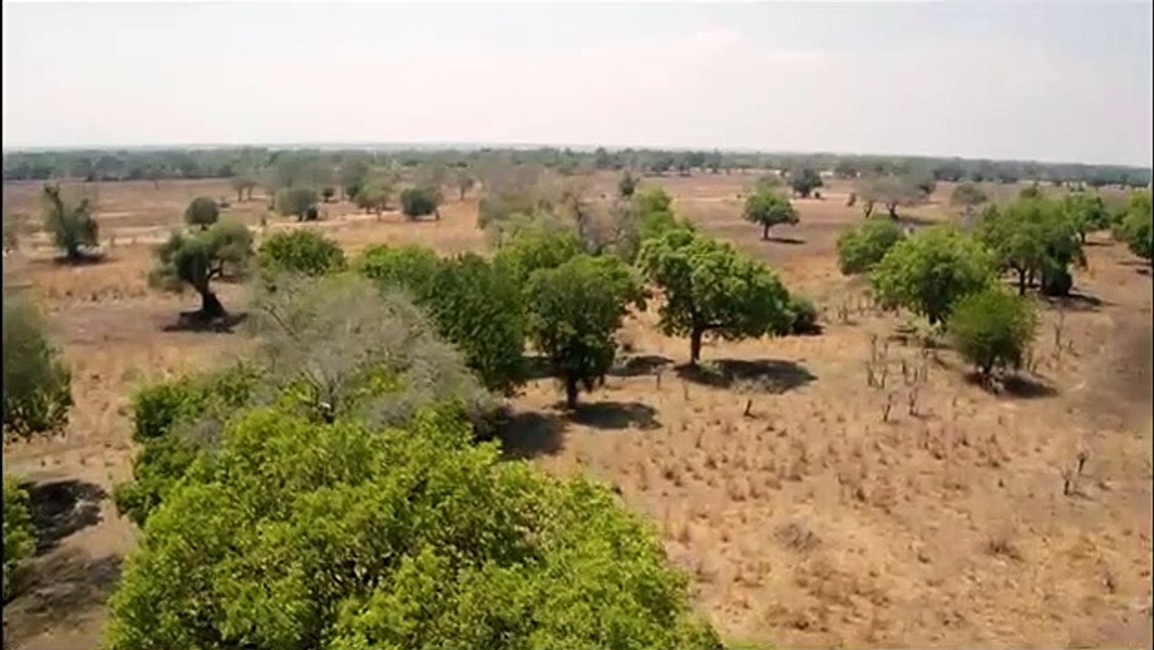Africa's Hunters - Se3 - Ep06 - Buffalo Showdown HD Watch