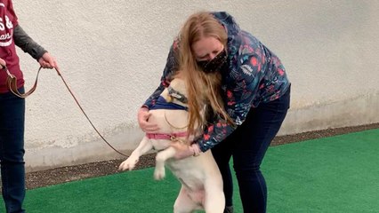 Dog Reunites With Military Owner In Time For Holidays