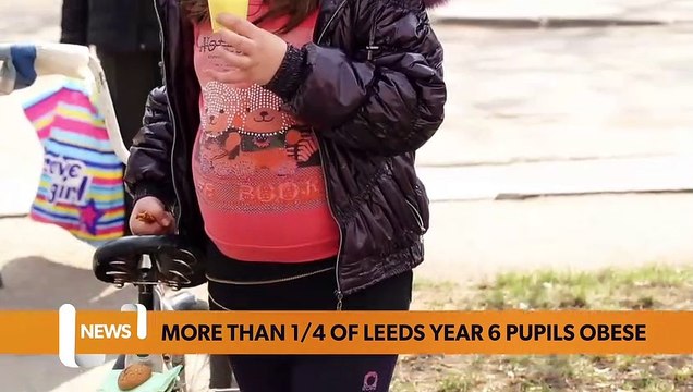 Leeds headlines 20 January: Cannabis user claimed £6,000 worth seized at Leeds home was his - but expert said it would take 18 months to smoke