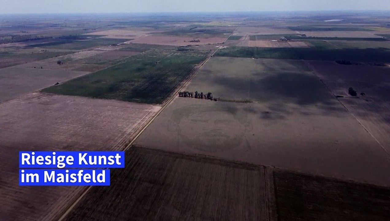 Argentinischer Maisbauer pflanzt riesiges Messi-Porträt