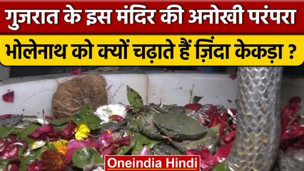 Ramnath Shiv Ghela temple: इस मंदिर में Shiv को जिंदा Crabs क्यों चढ़ाते हैं भक्त | वनइंडिया हिंदी
