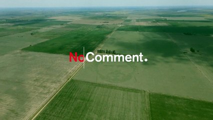 Le visage de Lionel Messi révélé dans un champ de maïs