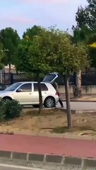 Homem sequestra a própria irmã por achar que sobrinho é seu filho