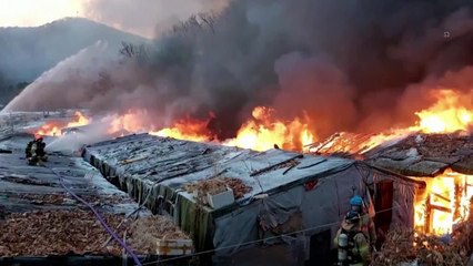 500 personas evacuadas en un incendio en un barrio marginal de Seúl
