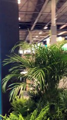 Experiencia Fitur 2023