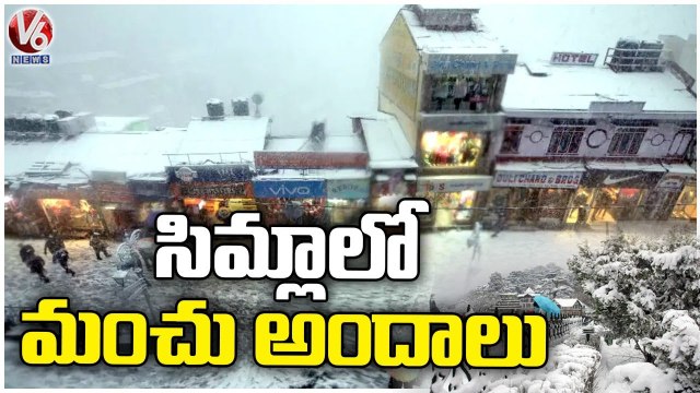Shimla Receives Fresh Snowfall, Attracts Tourists _ V6 News
